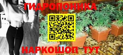 PSILOCYBIN Кунгур