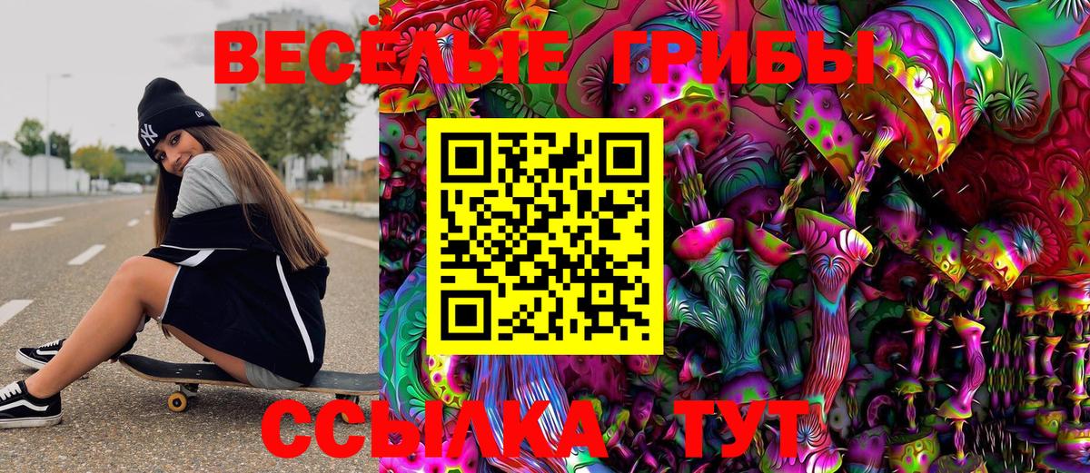 Казань  Псилоцибиновые грибы MAGIC MUSHROOMS  Вход с VPN  Псилоцибиновые грибы Psilocybe 